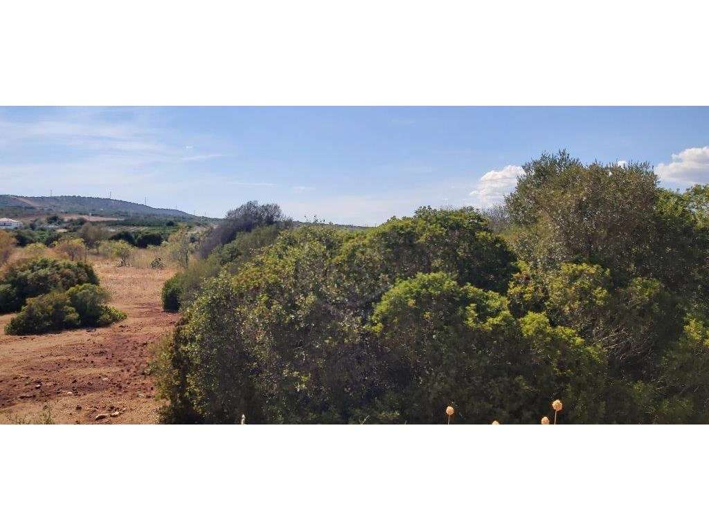 Terreno rústico, em zona agrícola, Ribeira de Alte, Paderne, Albufe... - Grande imagem: 2/16