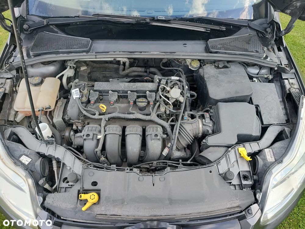 Ford Focus - 5