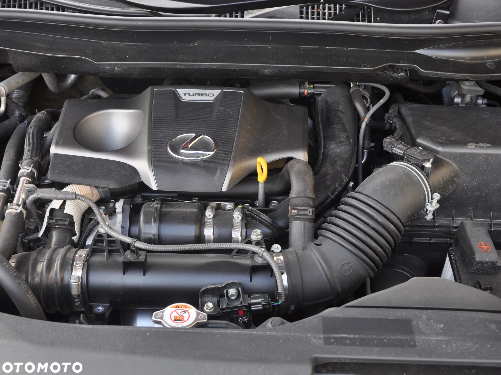Lexus RX 300 Business Edition + - 11