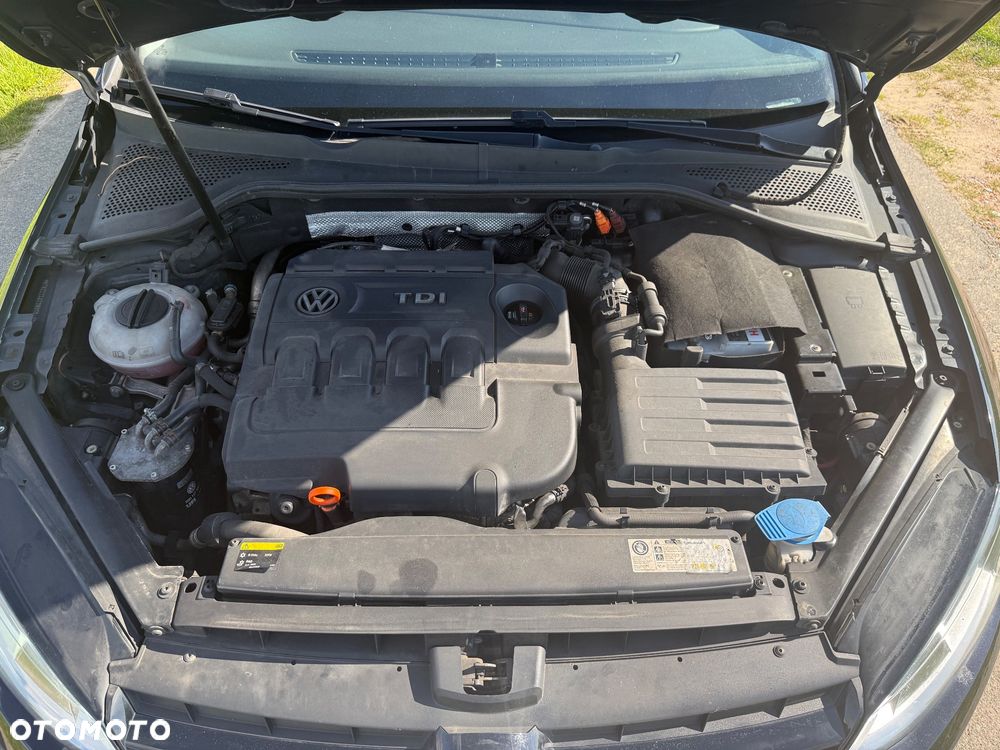 Volkswagen Golf - 18
