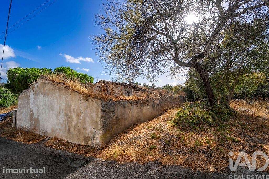 Casa / Villa T3 em São Brás de Alportel de 222 m2 - Grande imagem: 5/28