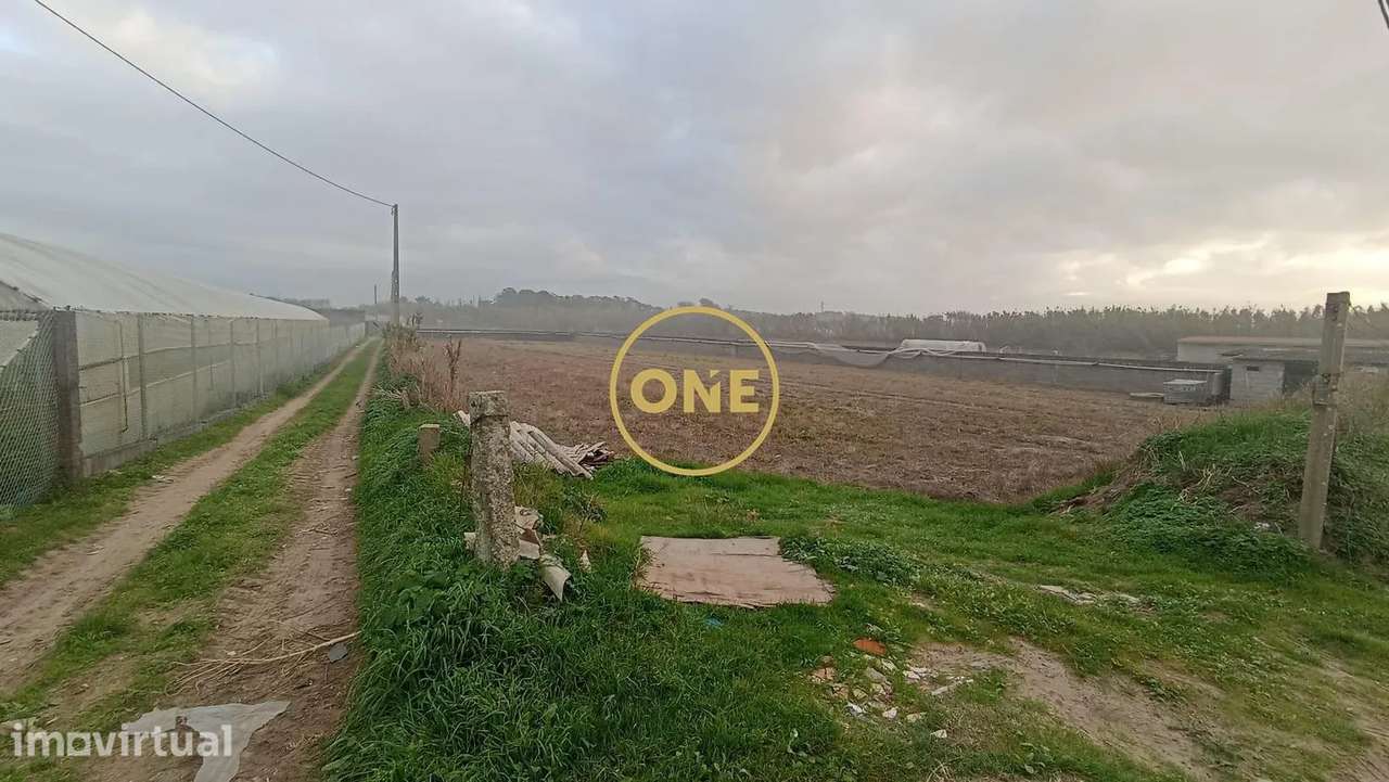 Terreno rústico de Apúlia, Esposende - Grande imagem: 4/10