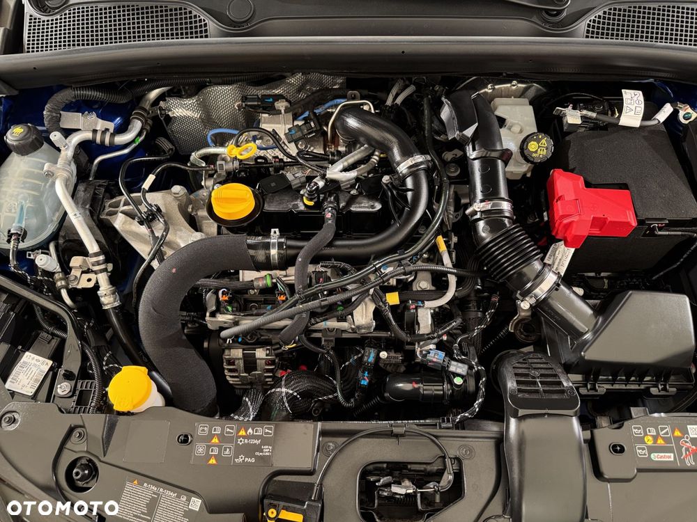 Renault Clio - 30