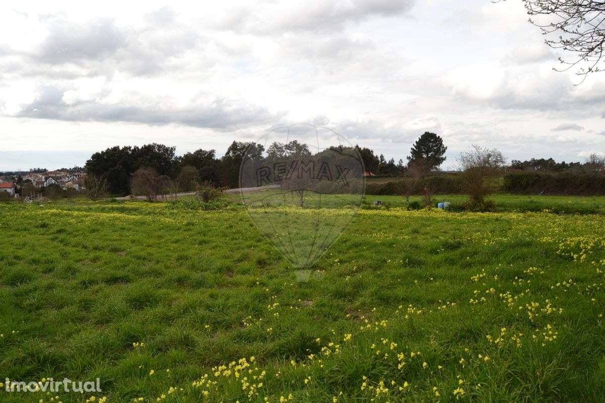 Terreno  para venda - Grande imagem: 5/13