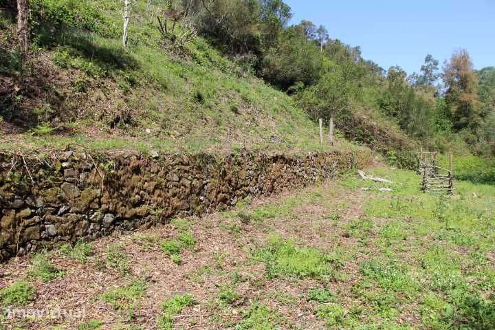 Quinta,3ruinas,Agua,hortas,Paz e privacidade - Grande imagem: 5/12