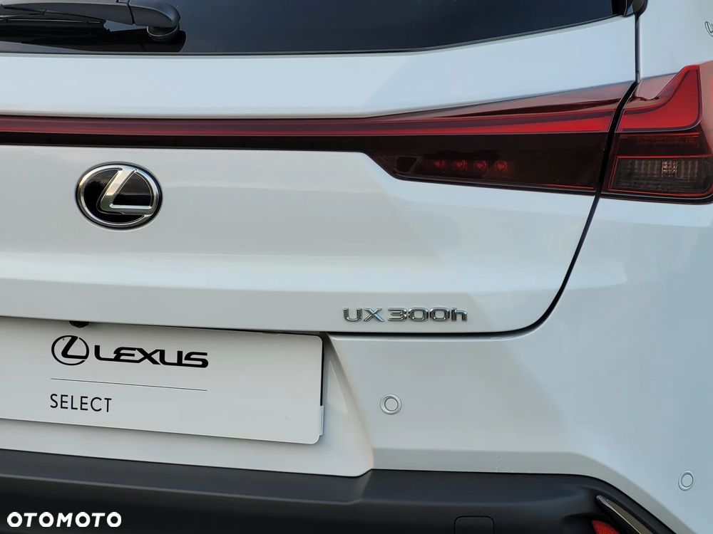 Lexus UX 300h F Sport Design - 26