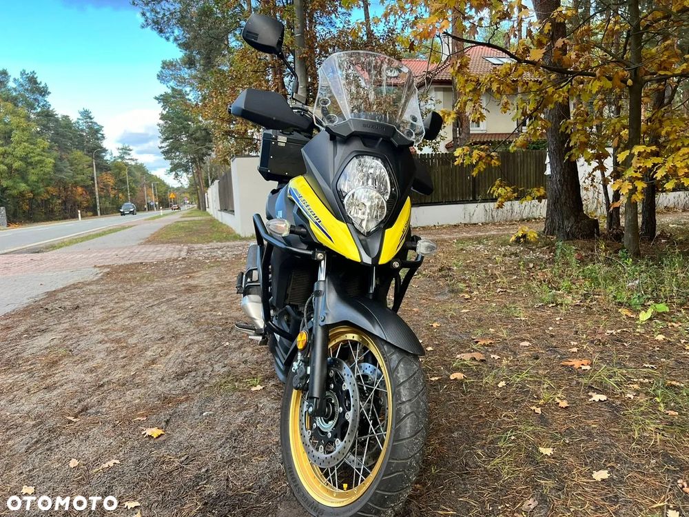 Suzuki DL - 17
