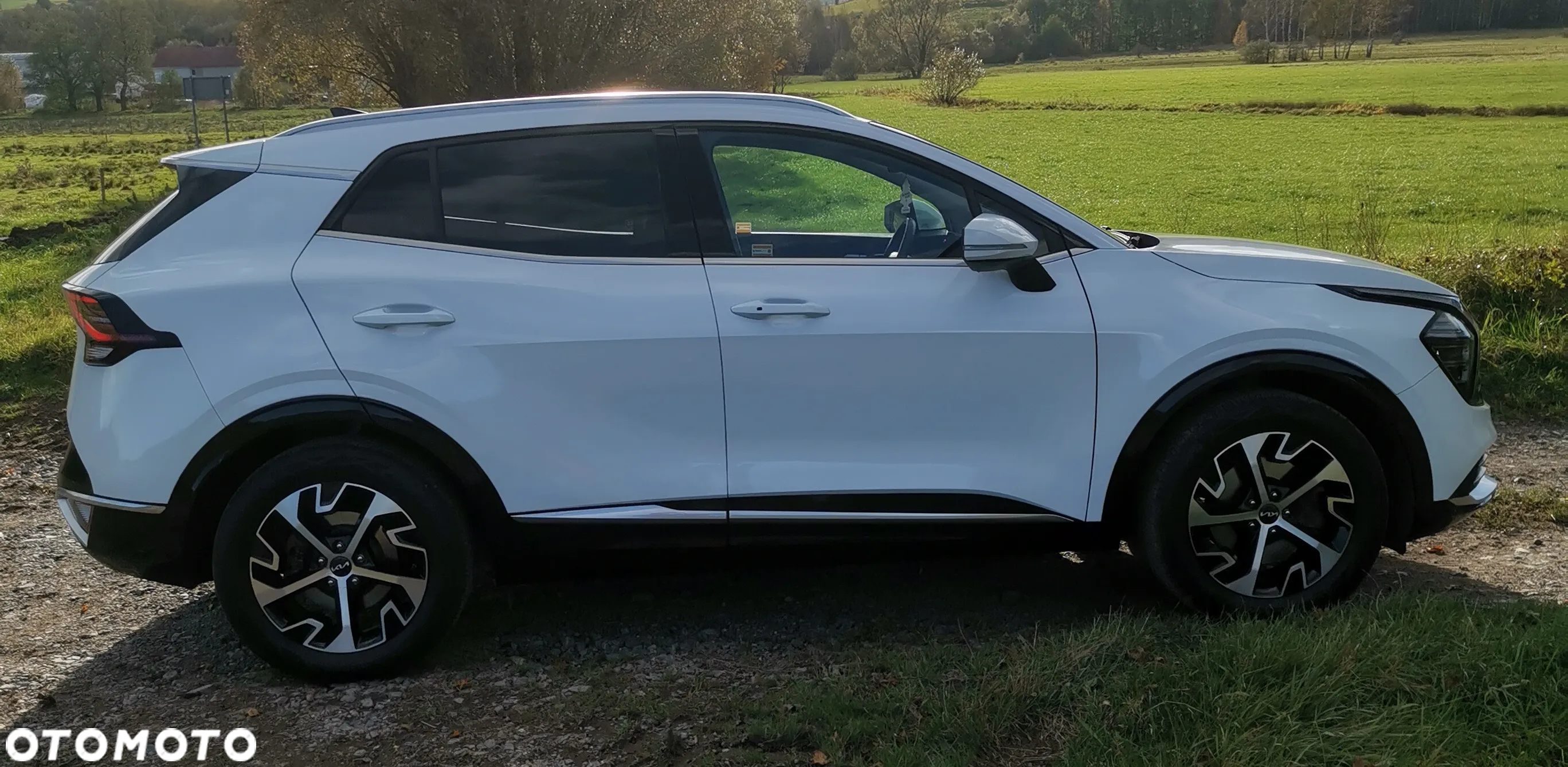 Kia Sportage 1.6 T-GDI Business Line 2WD - 9