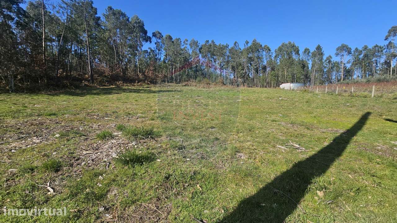 Terreno  Venda em Mamouros, Alva e Ribolhos,Castro Daire - Grande imagem: 2/9