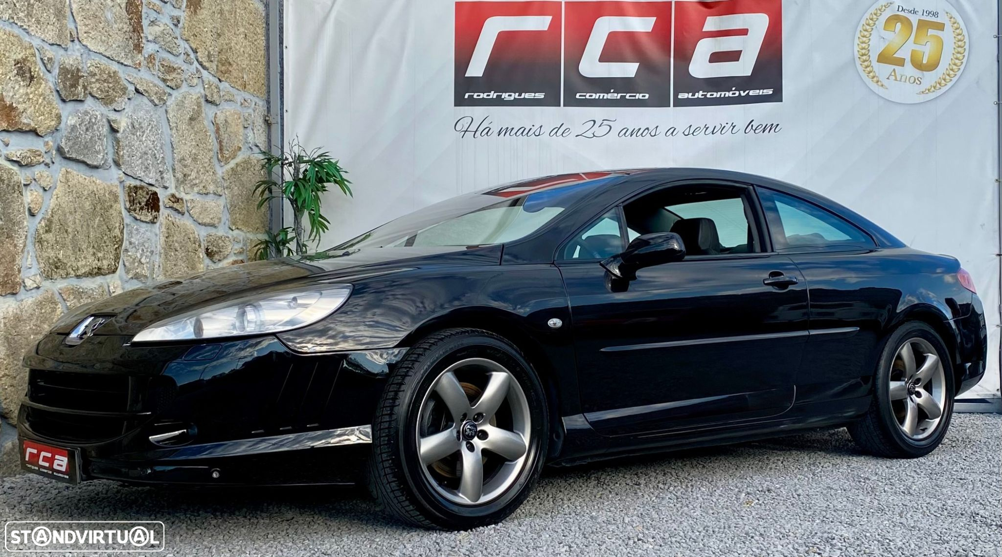 Peugeot 407 - 8