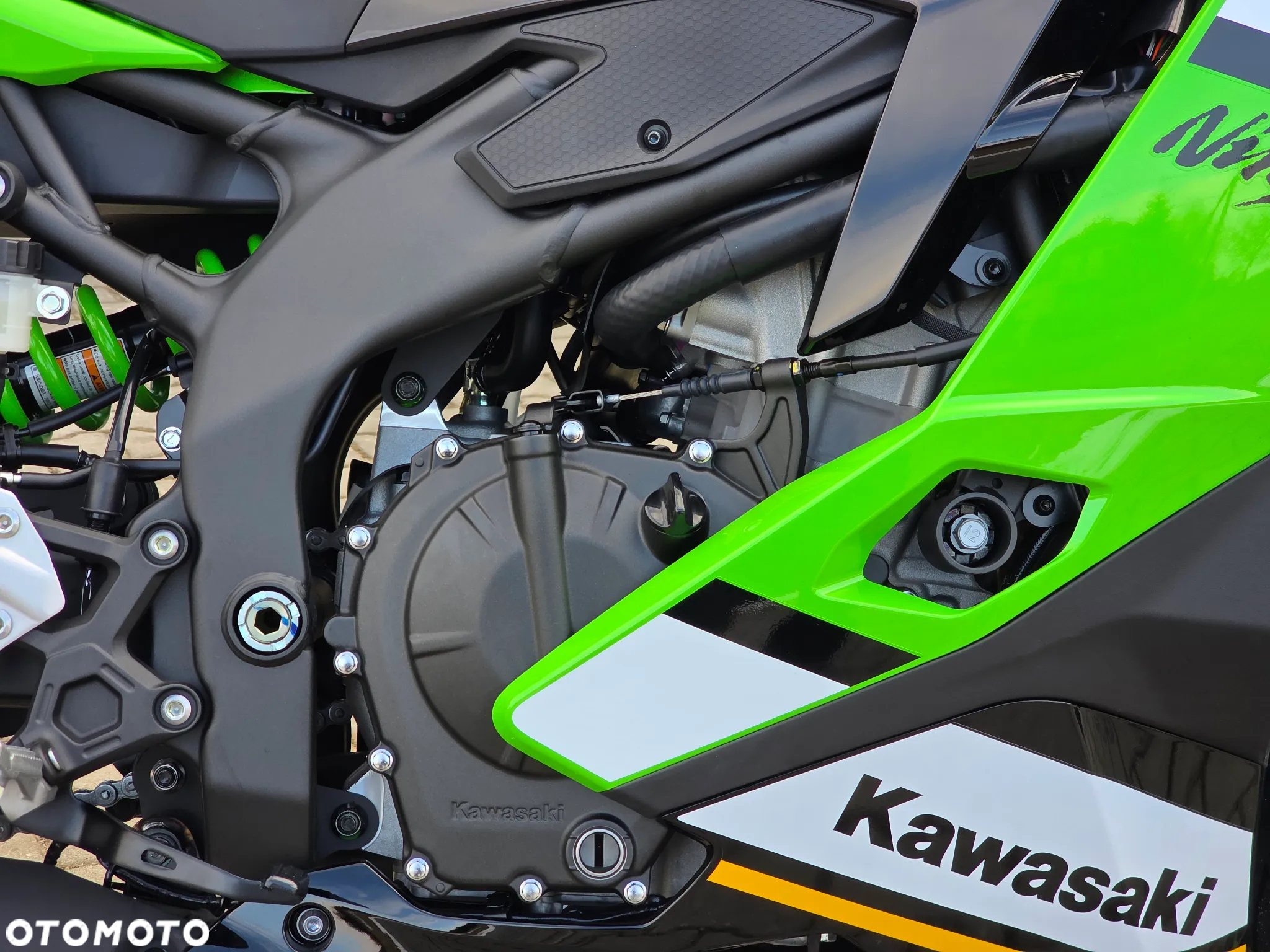 Kawasaki Ninja - 10