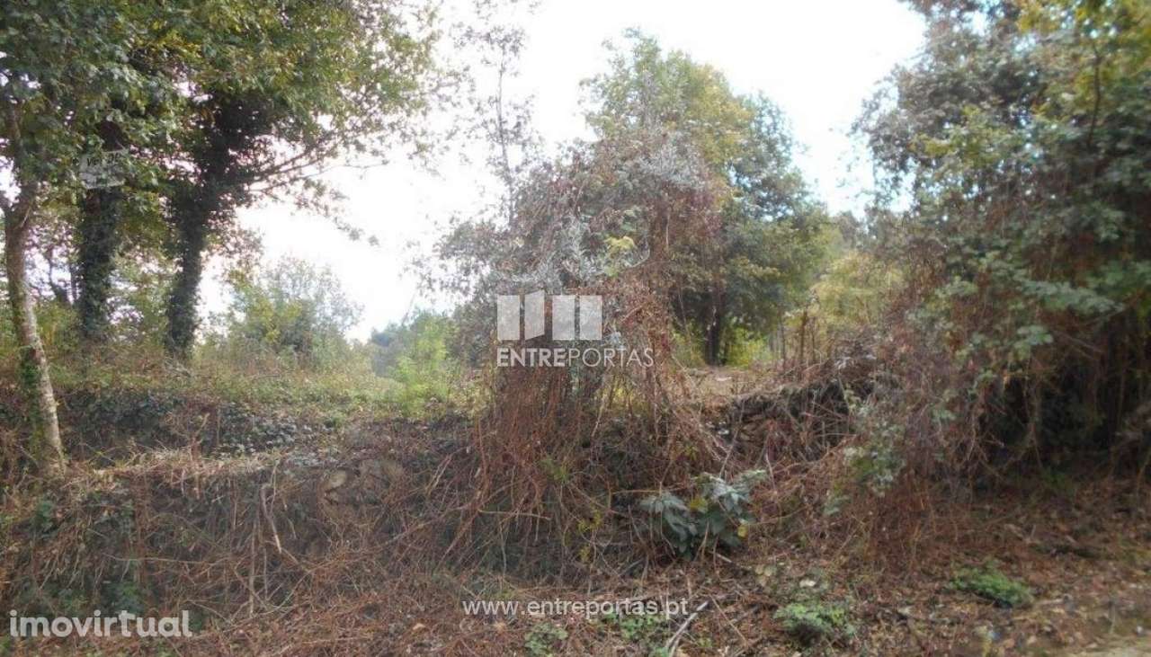 Terreno Venade - Grande imagem: 3/9