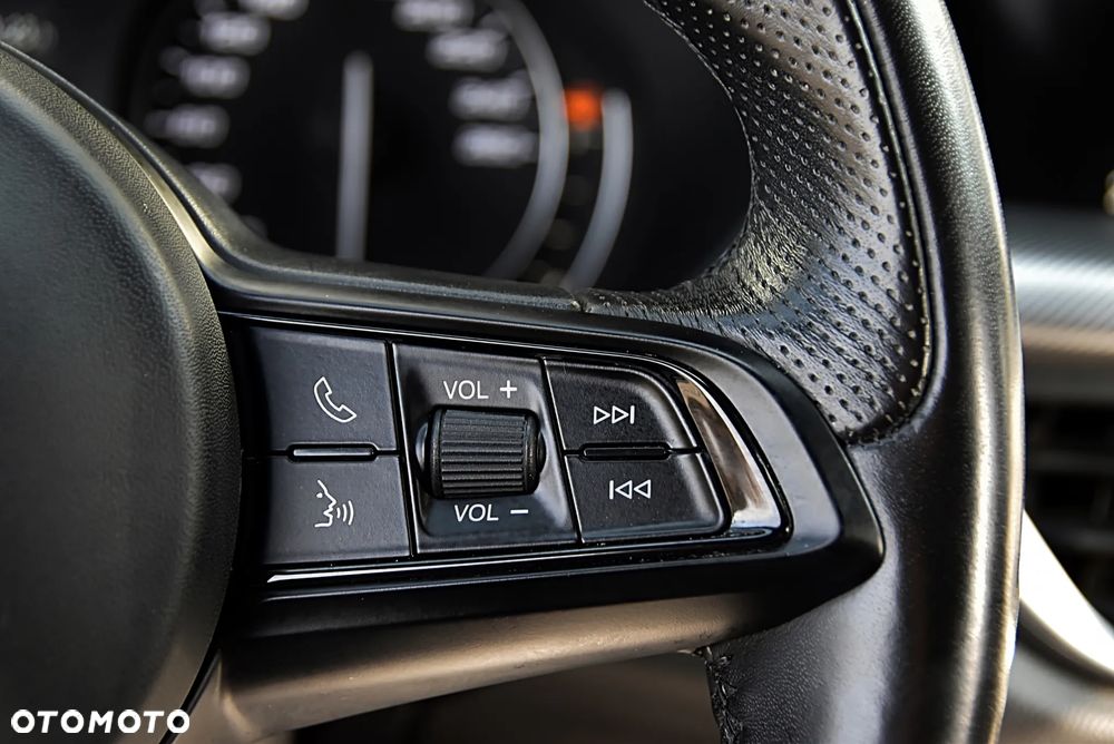 Alfa Romeo Stelvio 2.0 Turbo Veloce Q4 - 38