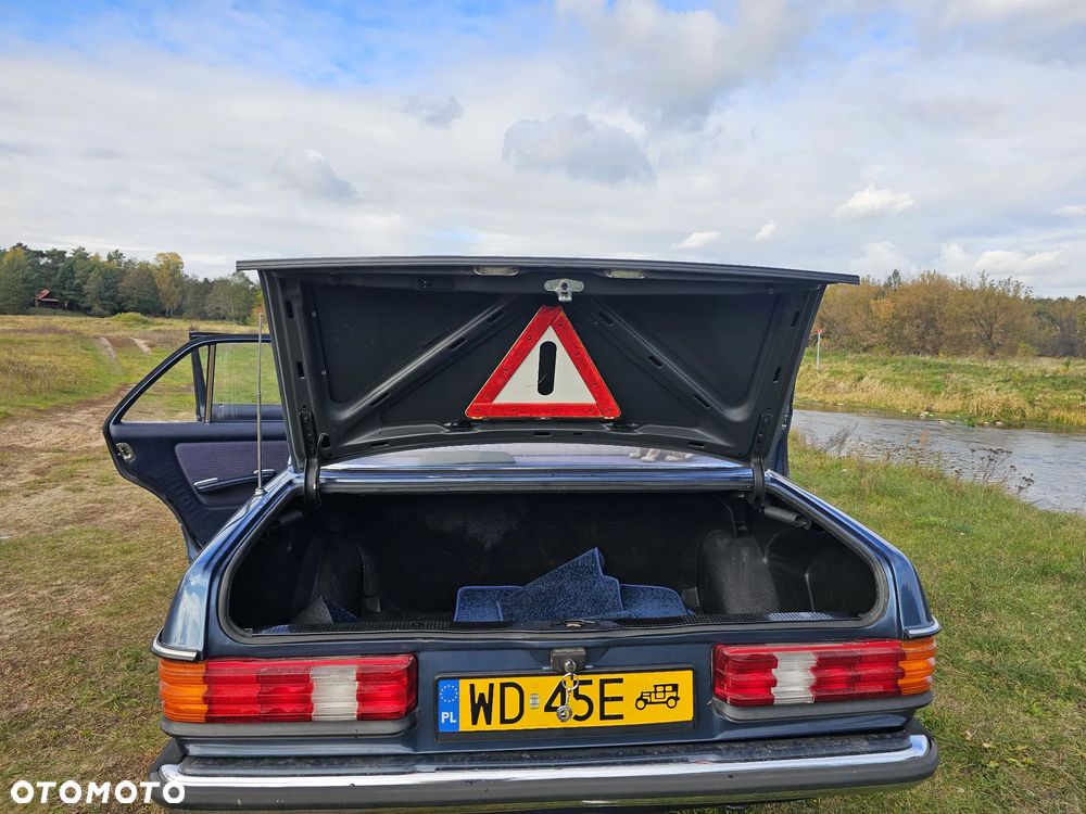 Mercedes-Benz W123 - 15