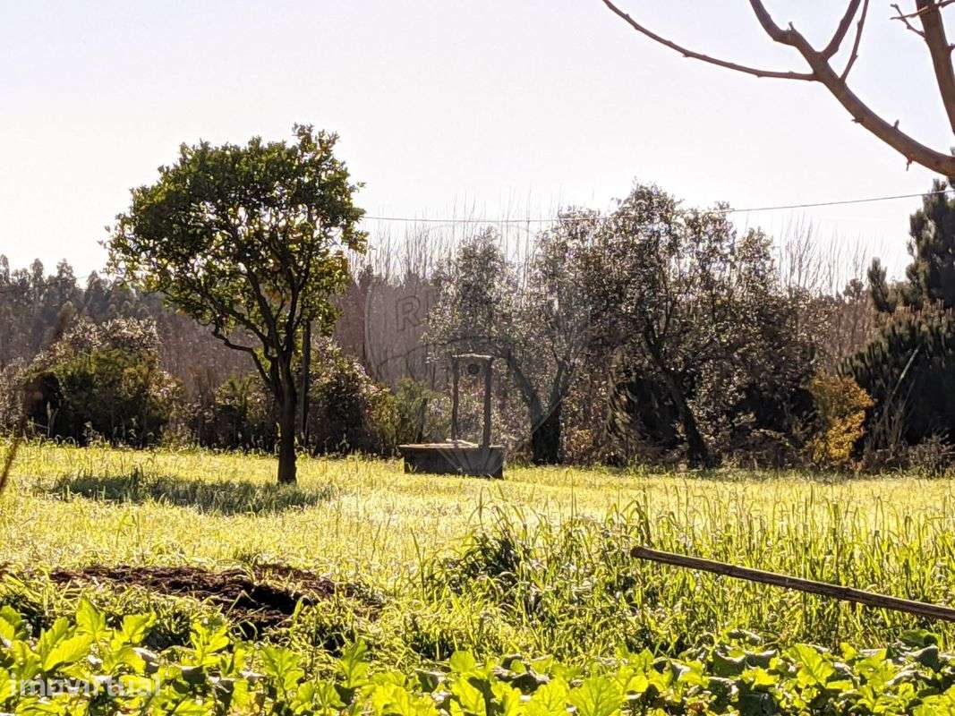 Terreno  para venda - Grande imagem: 3/13