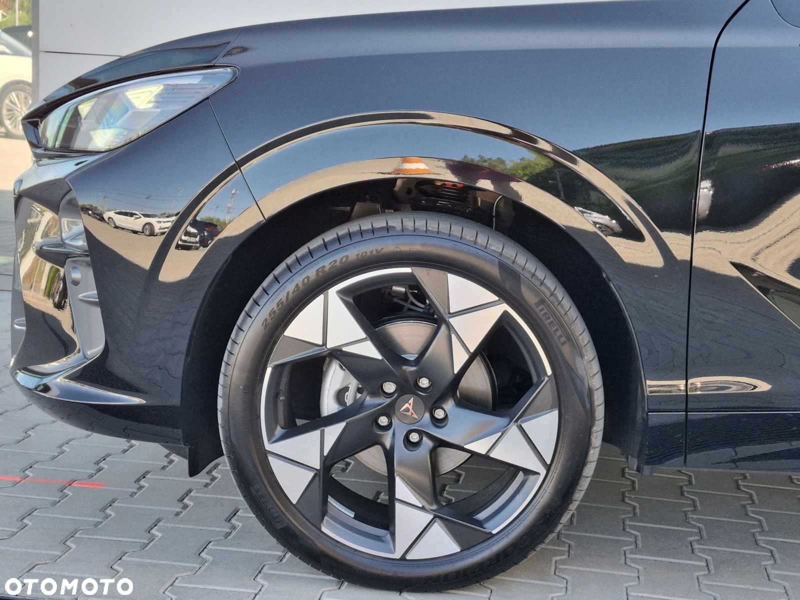 Cupra Terramar - 9