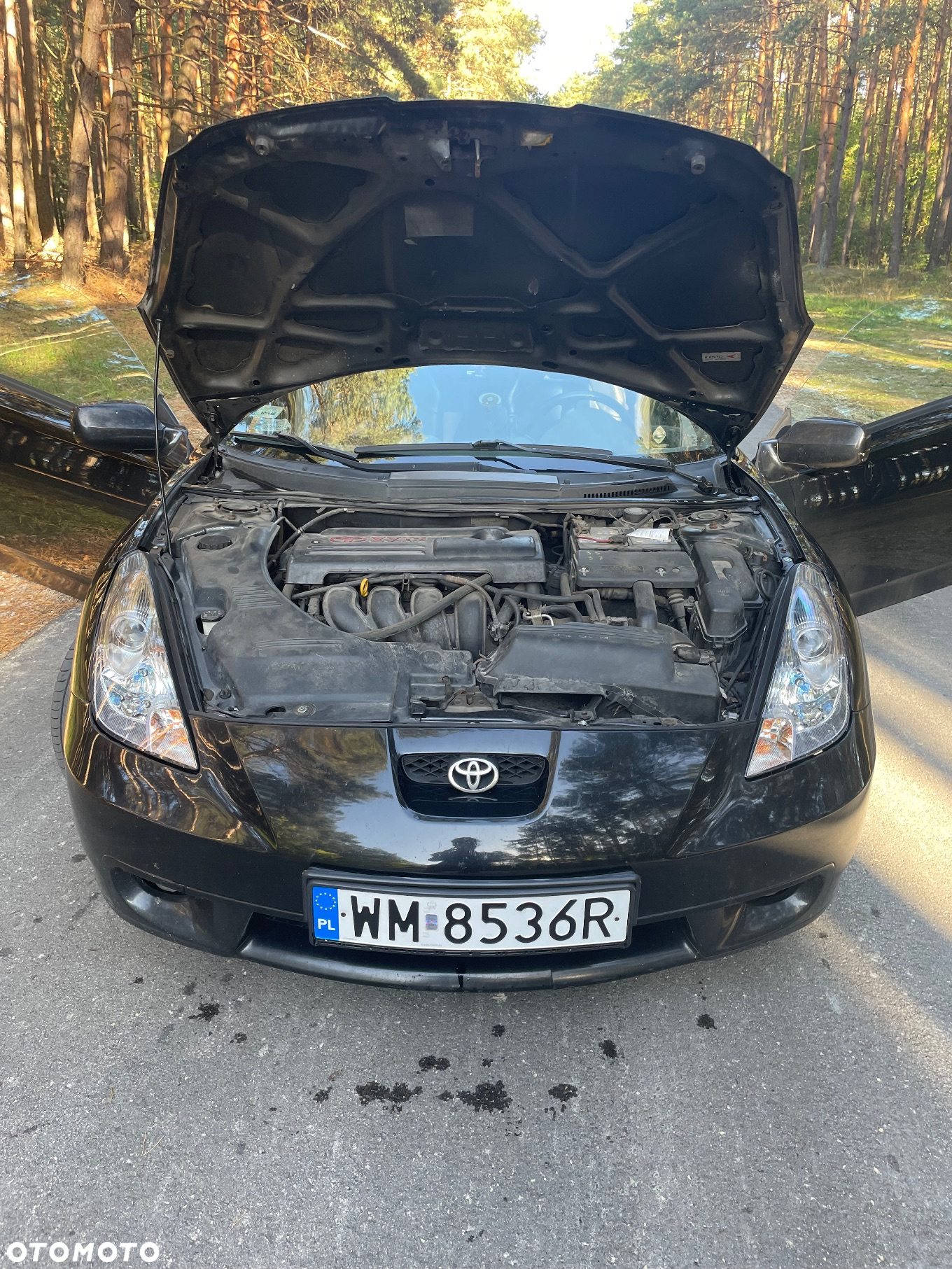Toyota Celica - 26