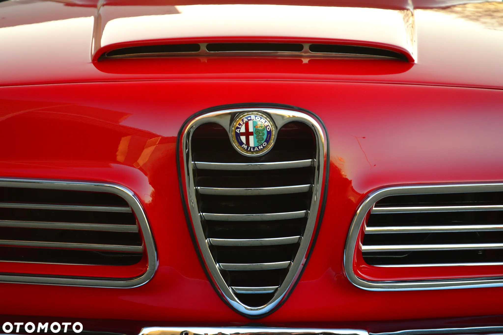 Alfa Romeo Inny - 12