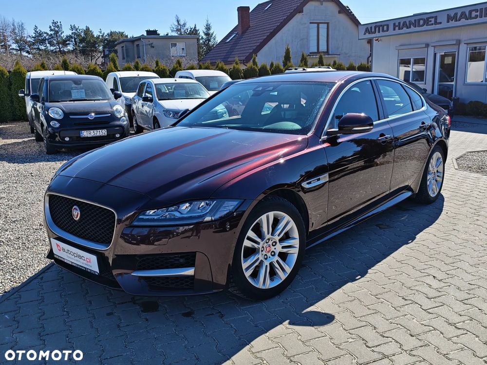 Jaguar XF E-Performance Pure - 2