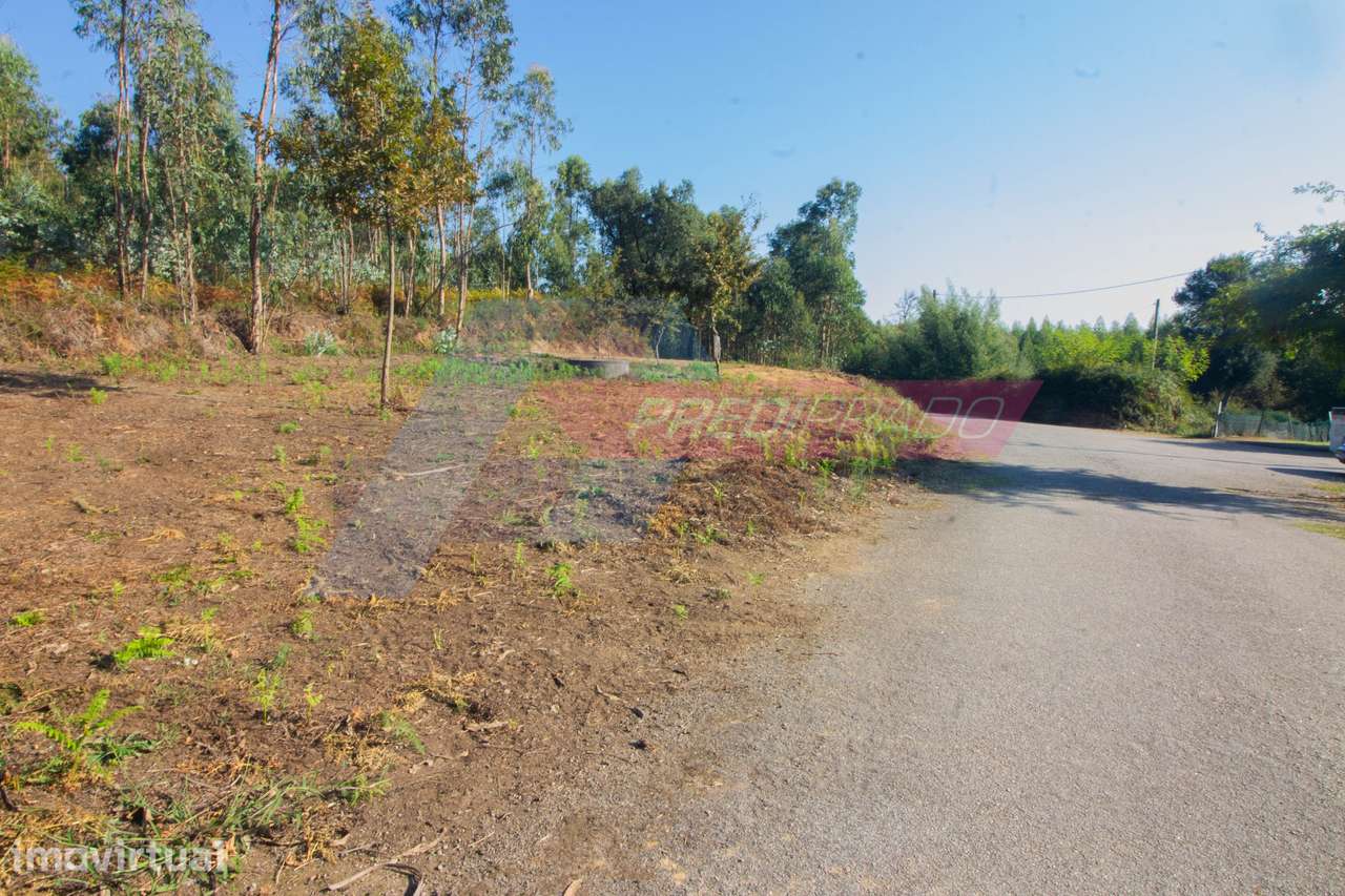 Terreno Florestal em Atiães, Vila Verde! - Grande imagem: 2/4