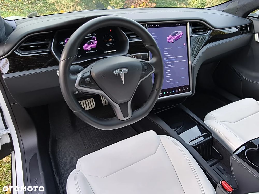 Tesla Model S Performance - 18