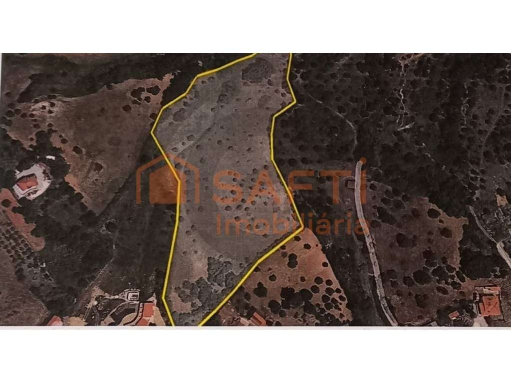 Vende-se Terreno Rústico em Torres Novas - Grande imagem: 2/4