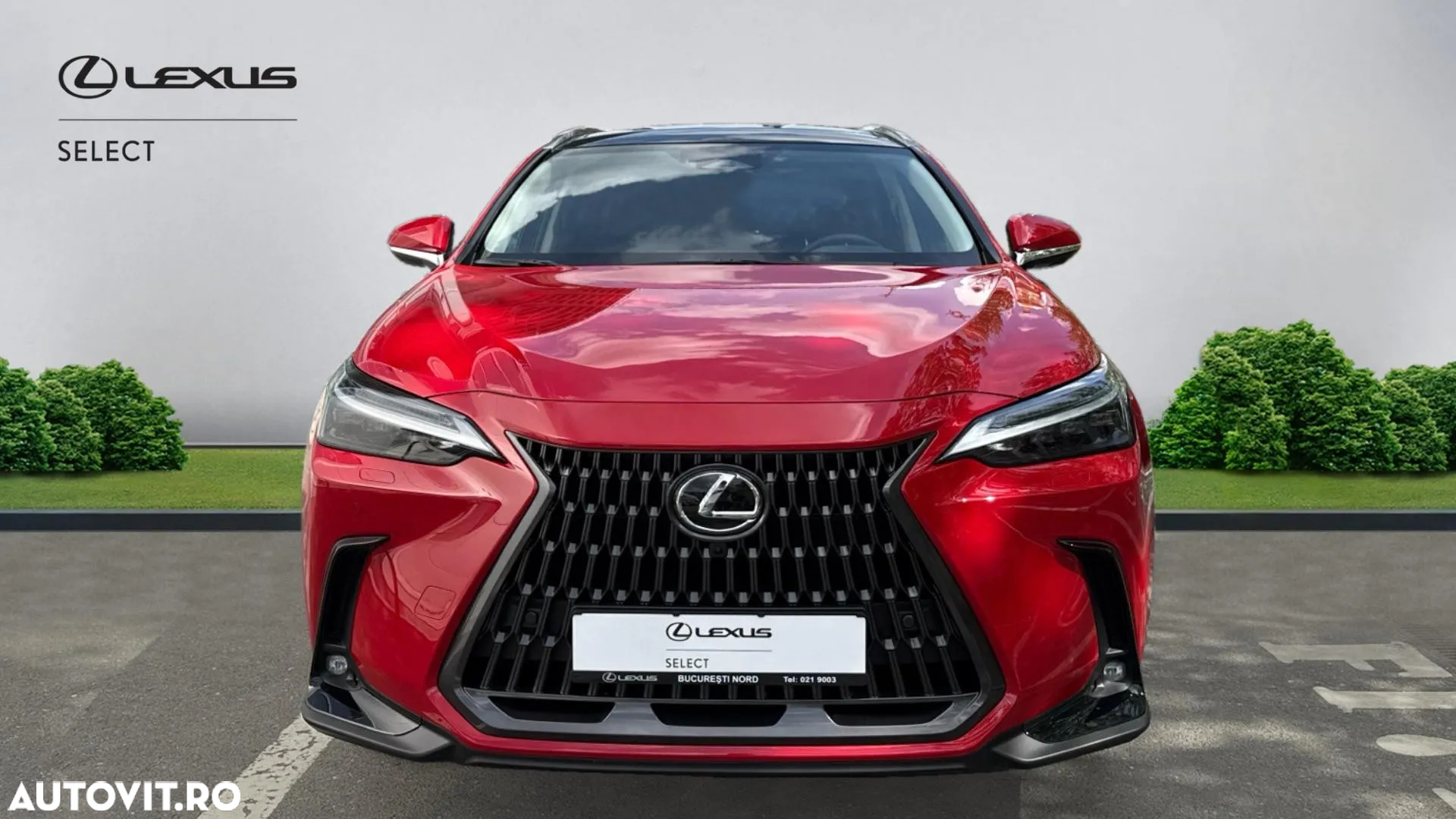 Lexus Seria NX 350h AWD CVT HEV Luxury - 4