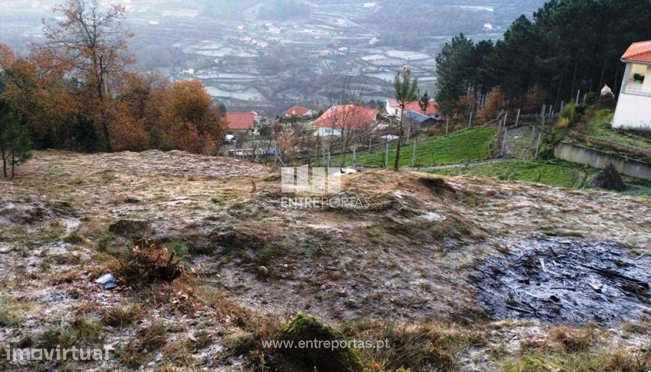 Venda Terreno Santiago de Piães, Cinfães - Grande imagem: 2/28