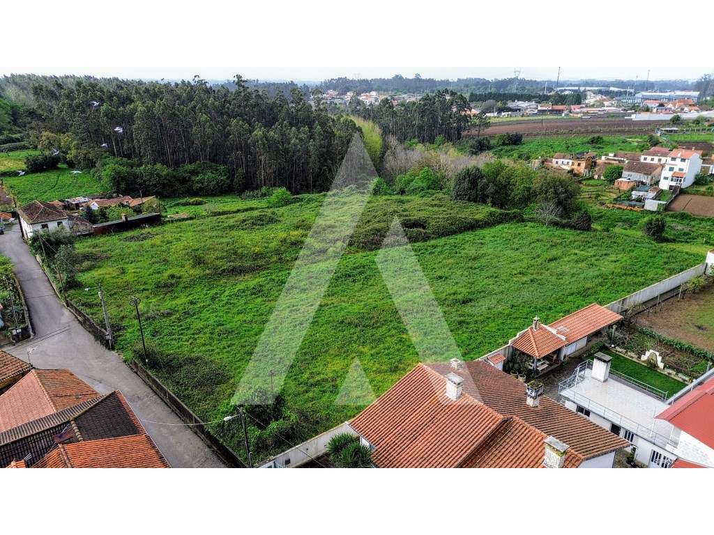 Terreno para Construção no Sobreiro - Albergaria-a-Velha - Grande imagem: 3/15