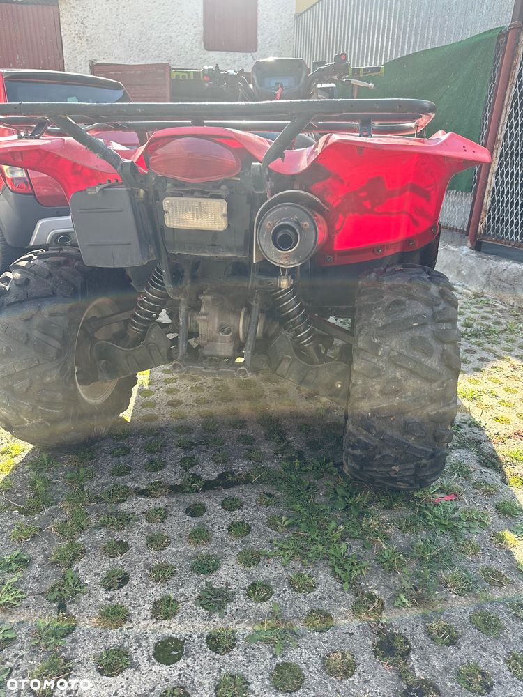 Suzuki Kingquad - 13