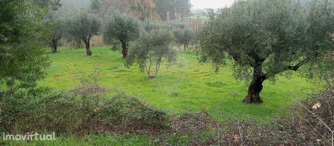 Terreno  para venda - Grande imagem: 3/4