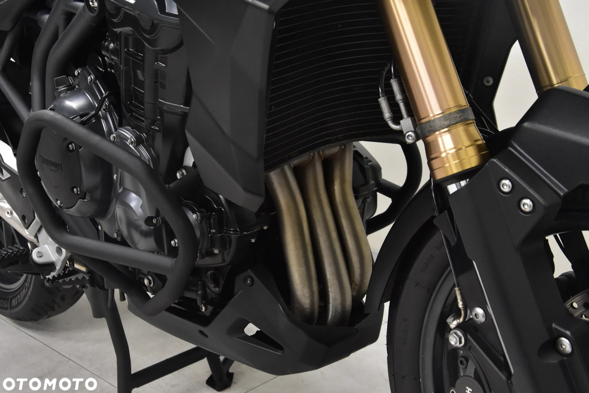 Triumph Tiger - 29