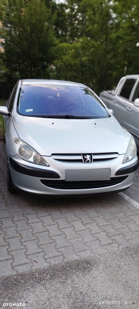 Peugeot 307 1.6 Mistral - 33