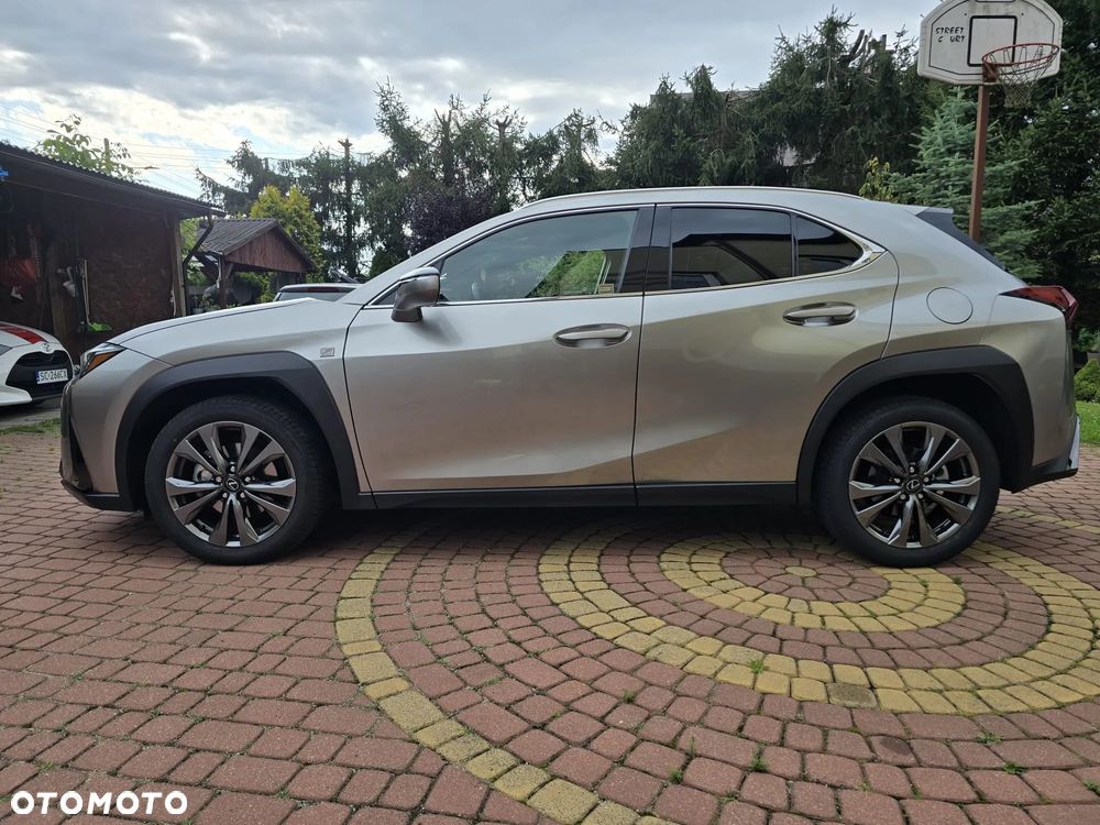 Lexus UX 300h F Sport - 2