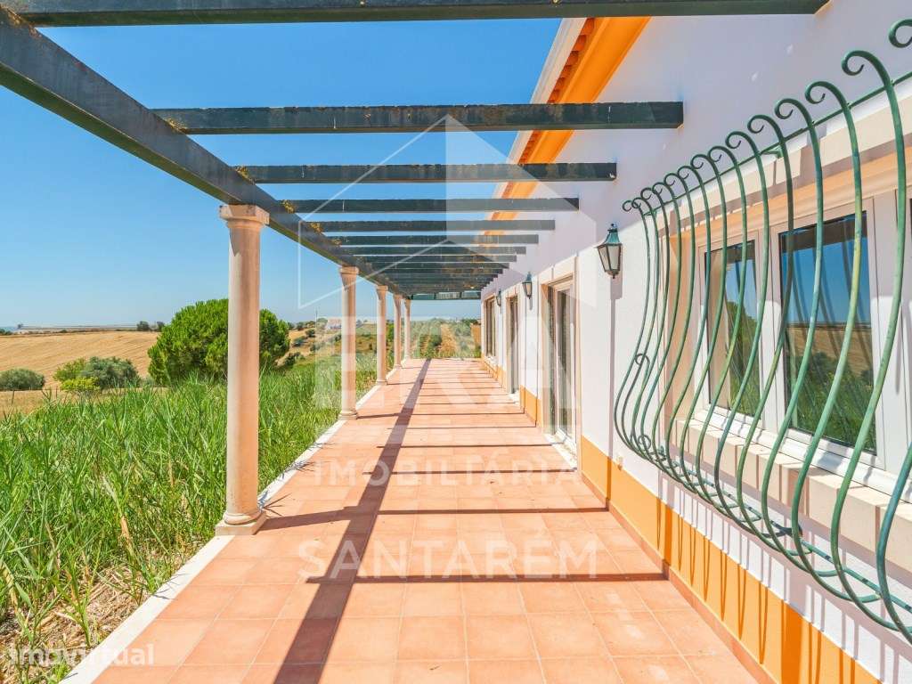 Moradia T4 inserida em propriedade com 9.680 m² - Grande imagem: 5/44
