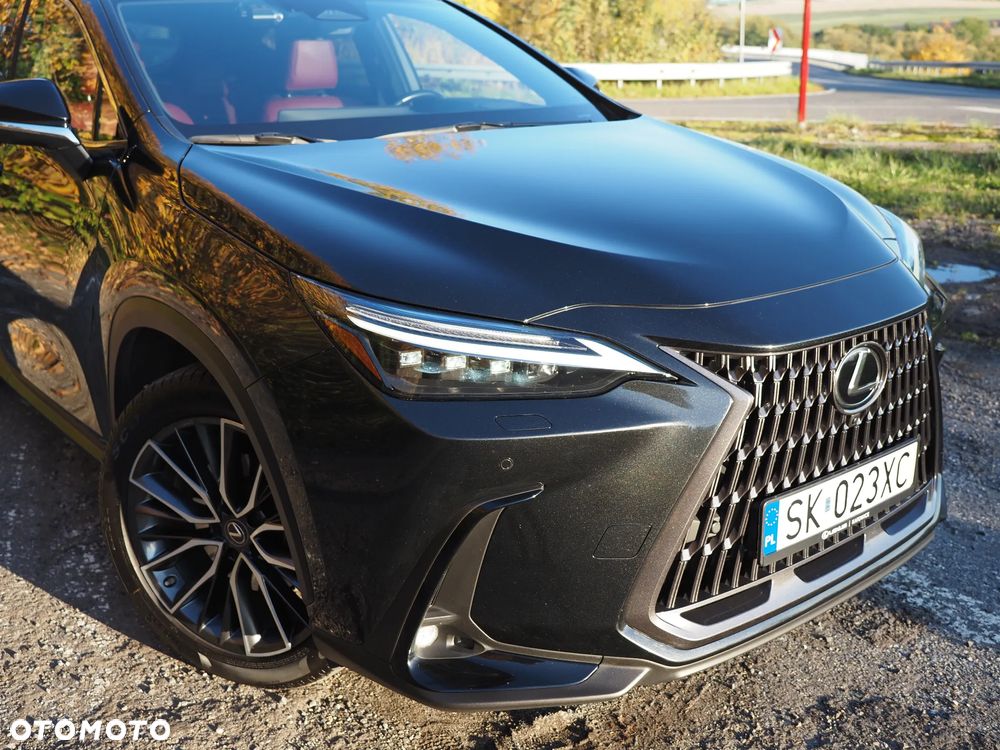 Lexus NX - 10