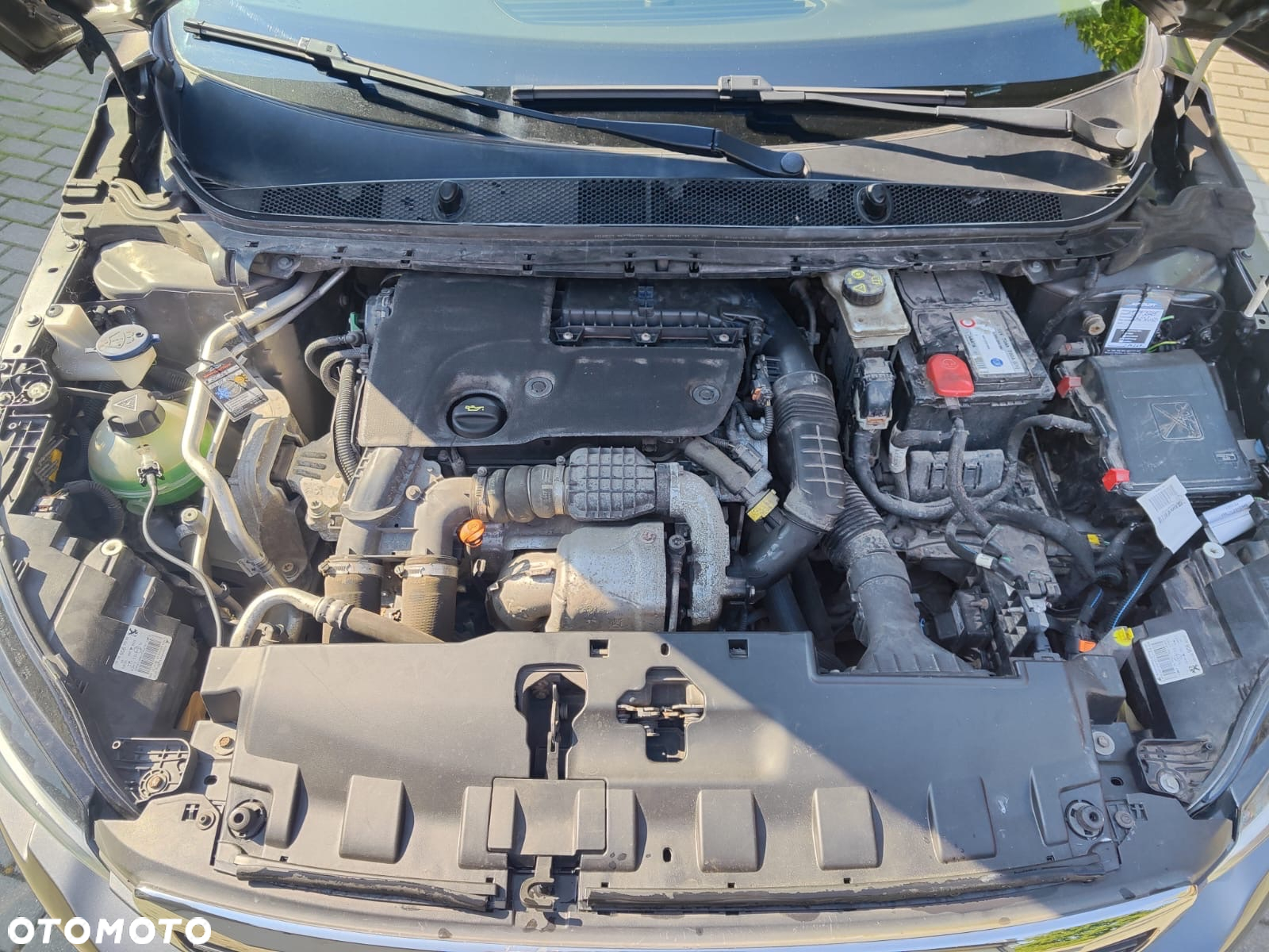 Peugeot 308 1.6 BlueHDi Business Line S&S - 13