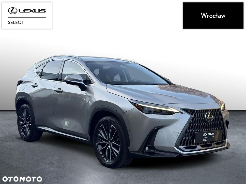 Lexus NX - 6