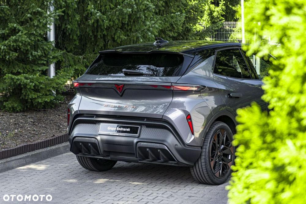 Cupra Inny - 14