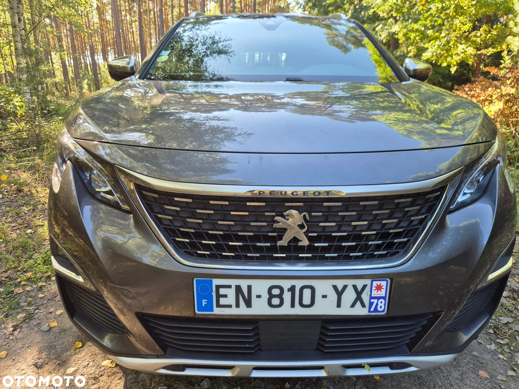 Peugeot 3008 BlueHDi 180 Stop & Start EAT6 GT - 12