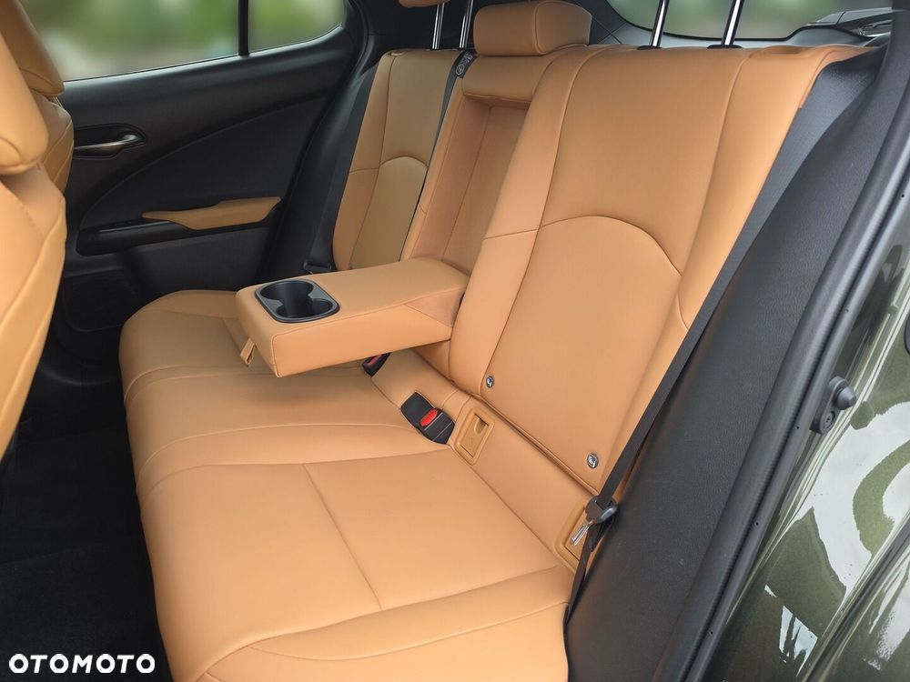 Lexus UX 300h F Sport Design - 28