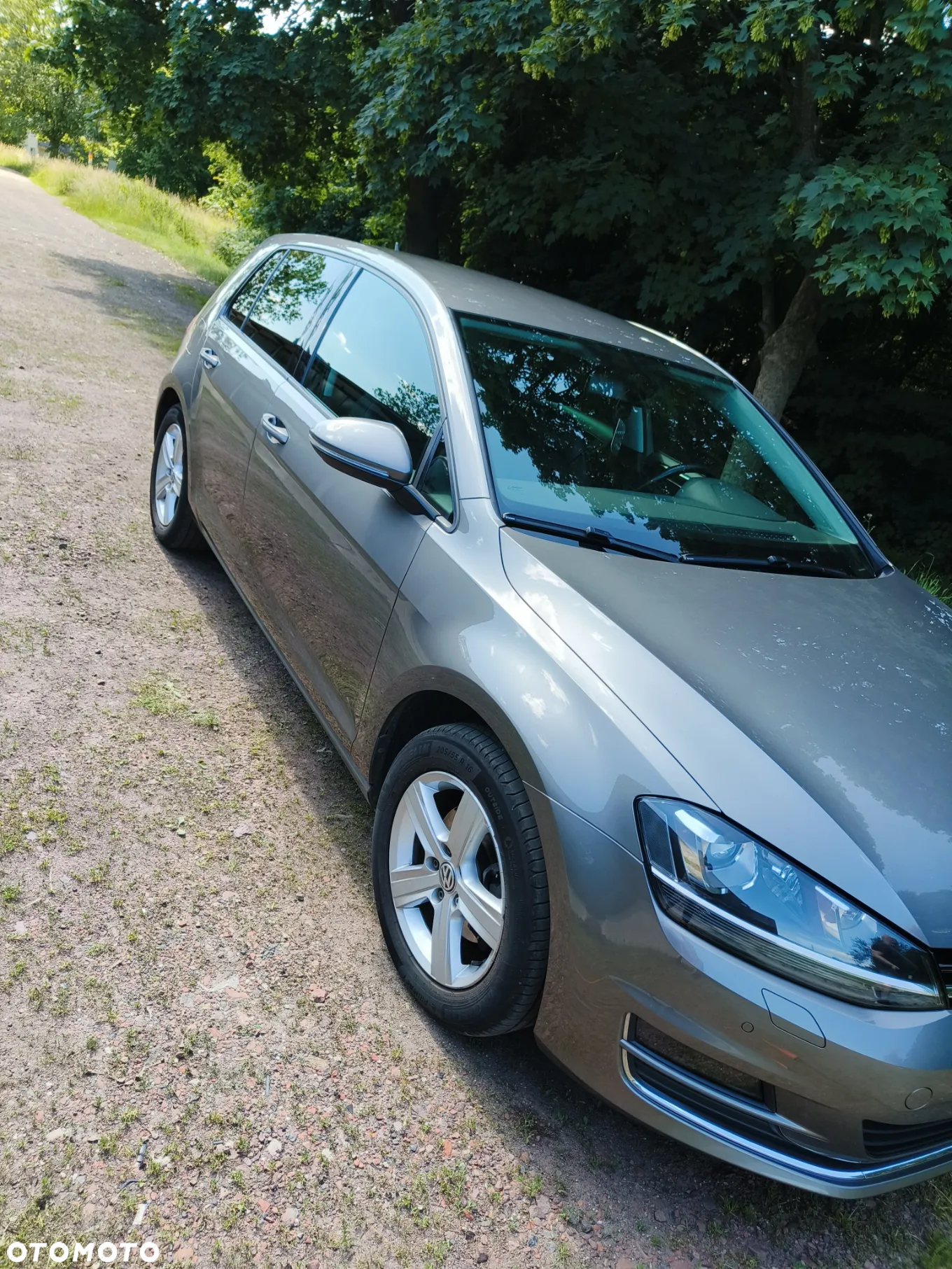 Volkswagen Golf - 13