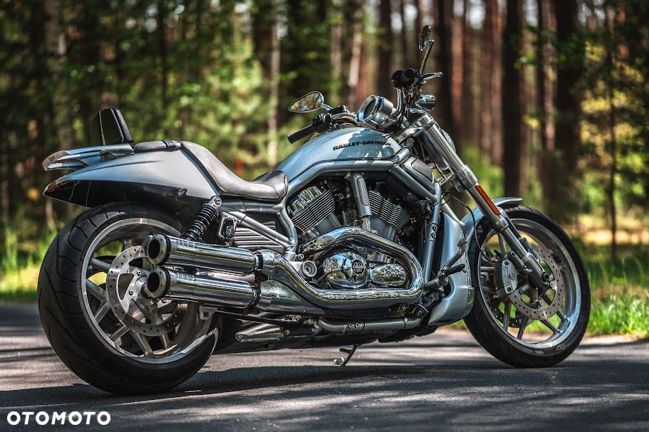 Harley-Davidson V-Rod Muscle - 1