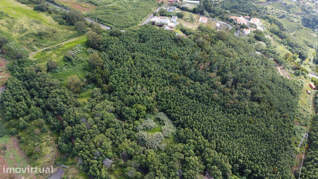 Terreno em Santa Cruz, Ilha da Madeira - Grande imagem: 4/5