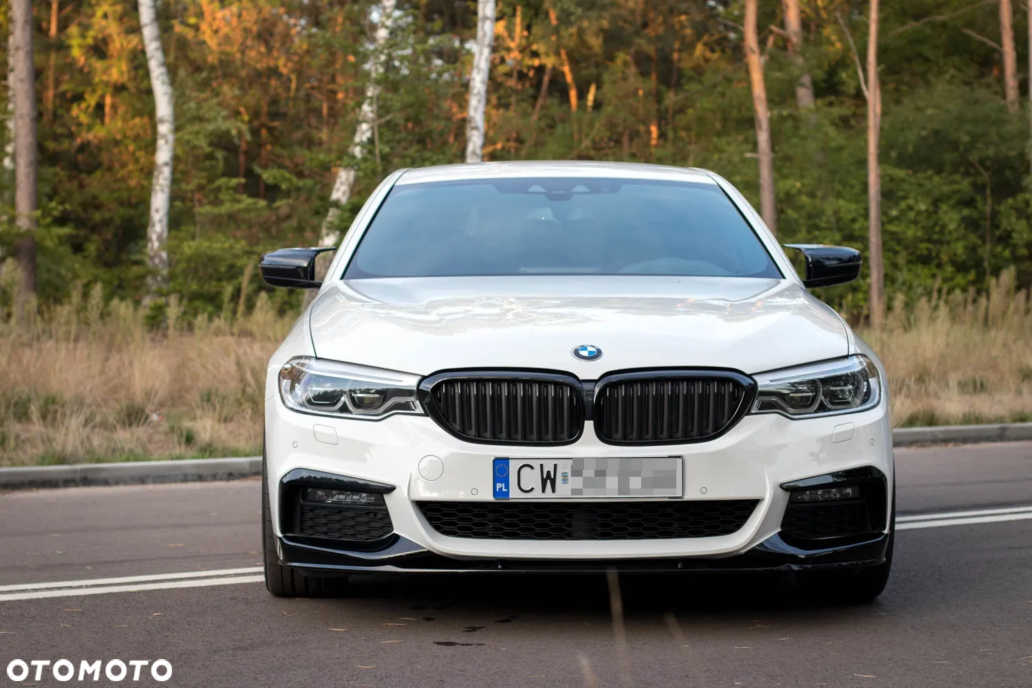 BMW Seria 5 540i xDrive M Sport sport - 4