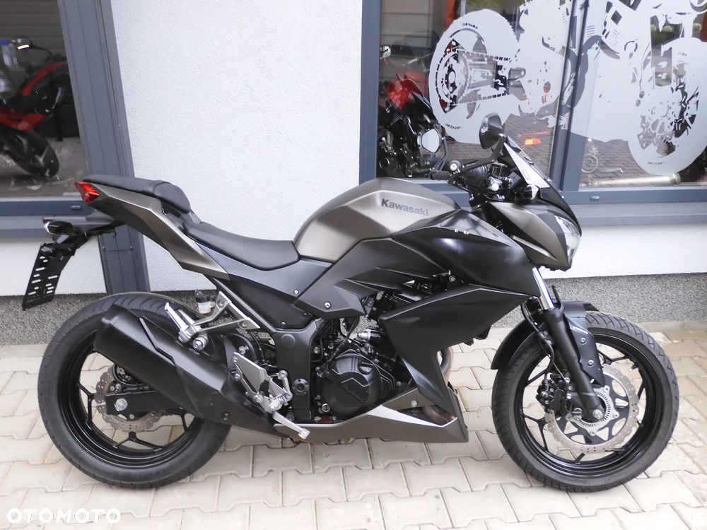 Kawasaki Z - 18
