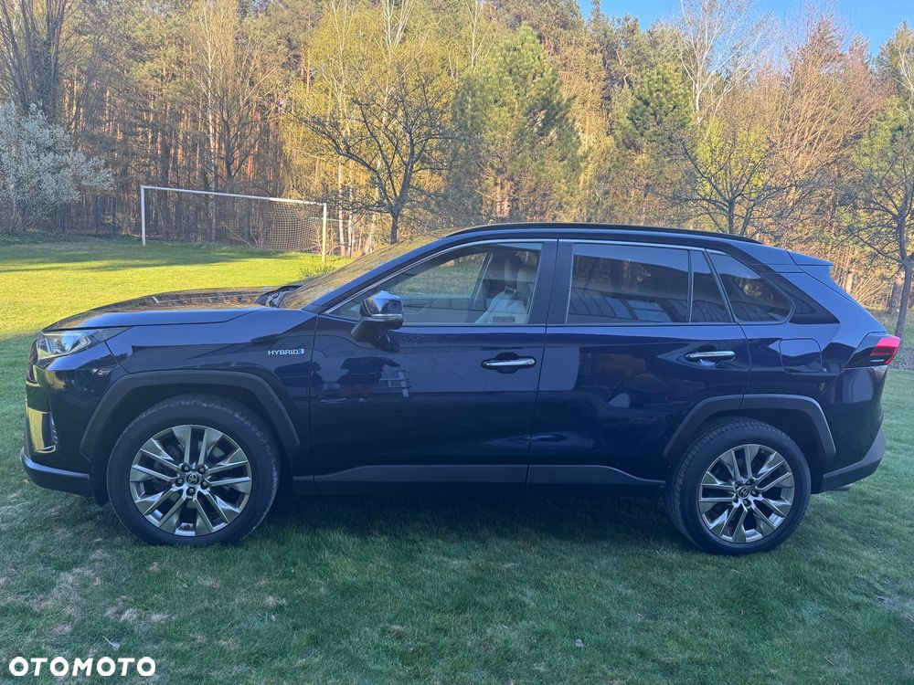 Toyota RAV4 2.5 Hybrid Executive 4x2 - 10
