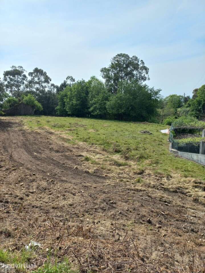 Terreno com Ruina com viabilidade construtiva em Escariz - Grande imagem: 2/17
