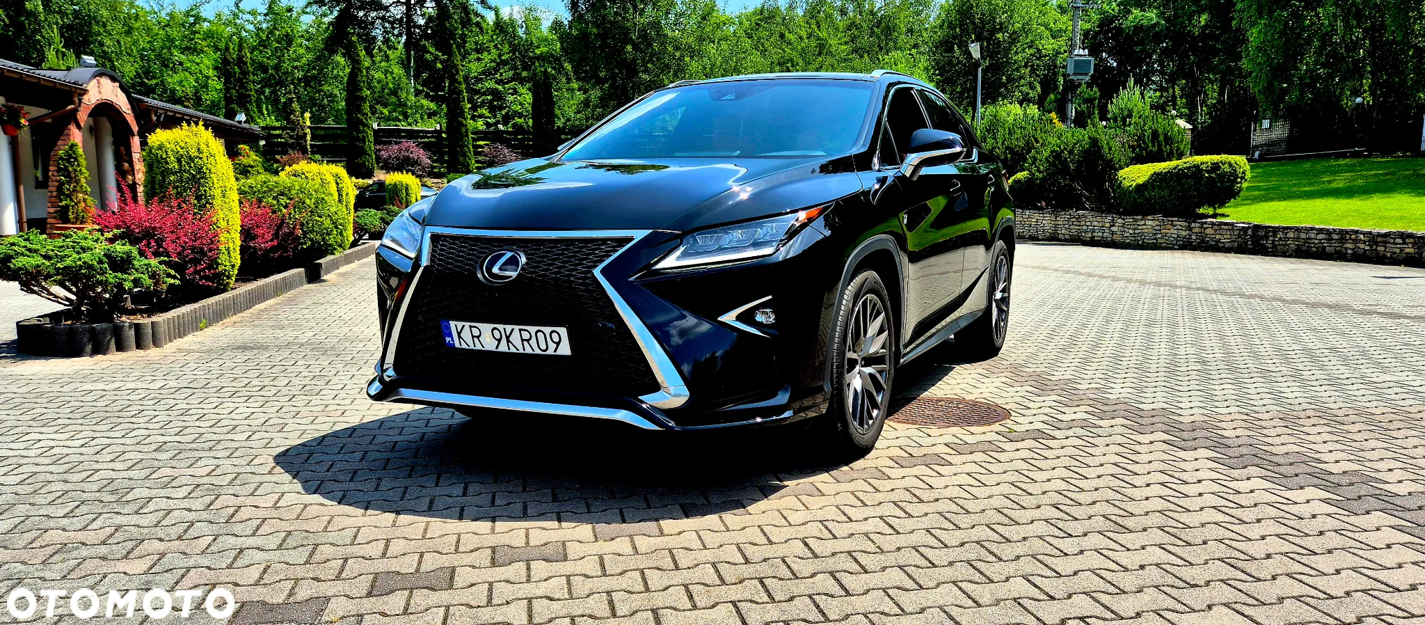 Lexus RX 300 AWD F Sport - 2