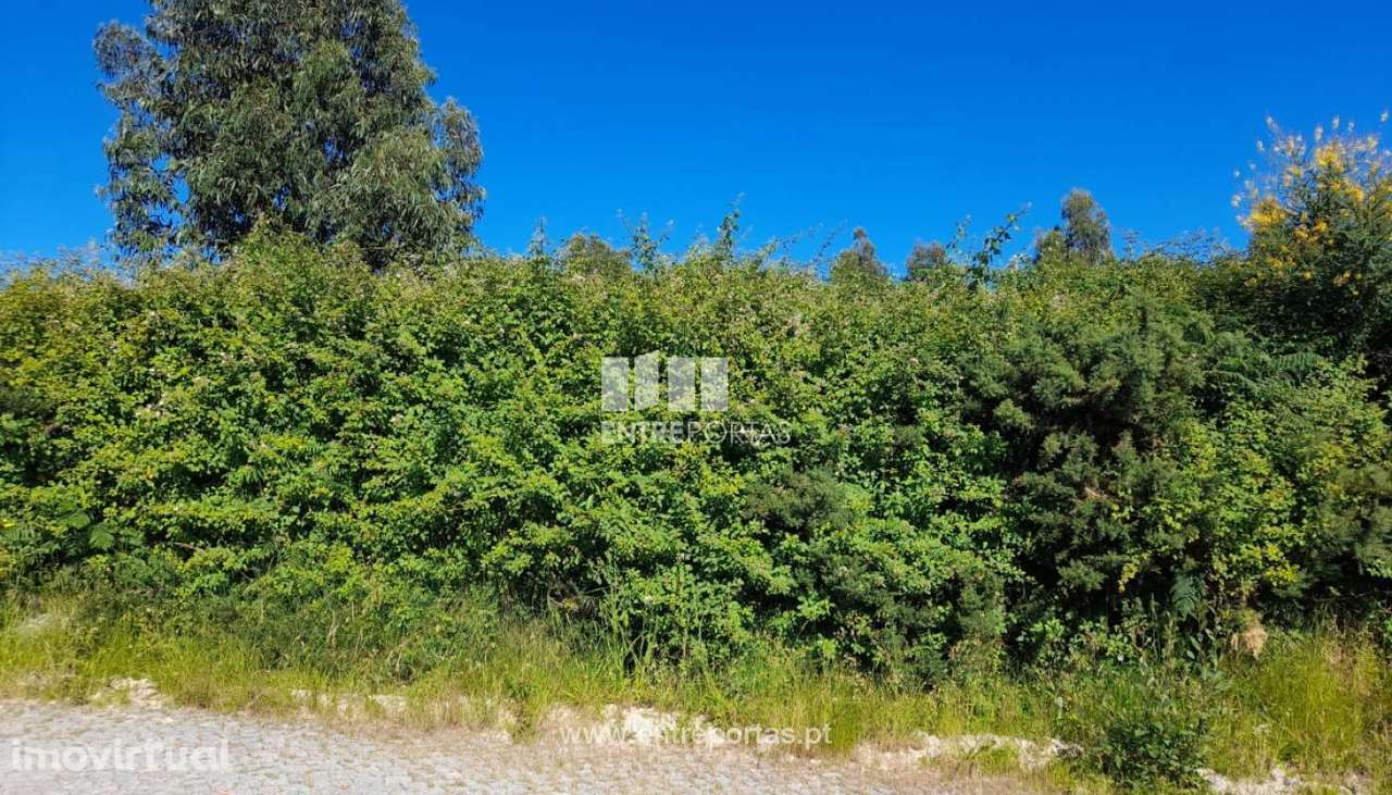 Venda Terreno com possibilidade de construção, Rosém, Marco de Cana - Grande imagem: 4/30